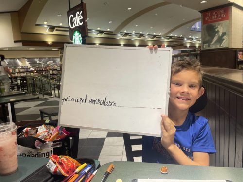 Tutoring Service Scottsdale Az 18