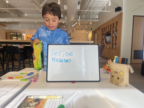tutoring-service-scottsdale-az-269