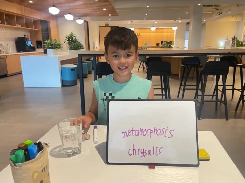tutoring-service-scottsdale-az-340